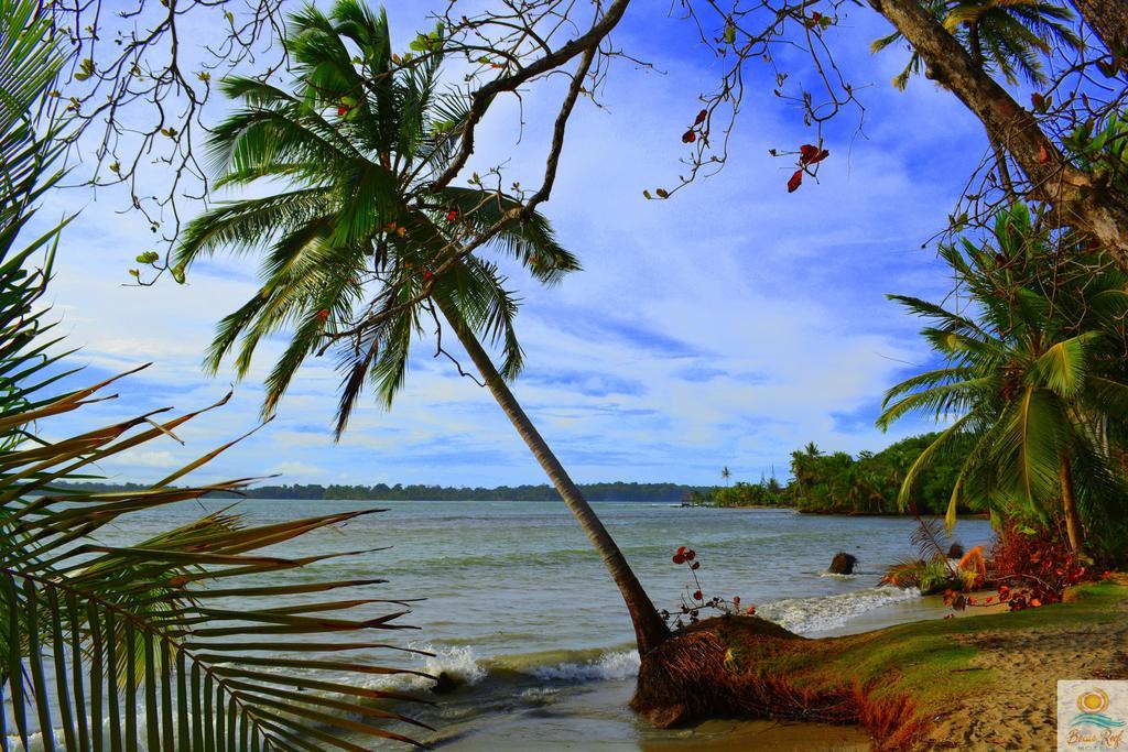 Bocas Reef Hotel 보카스 타운 외부 사진